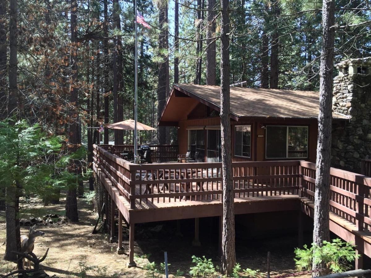 Papa Bear Cabin North Wawona エクステリア 写真
